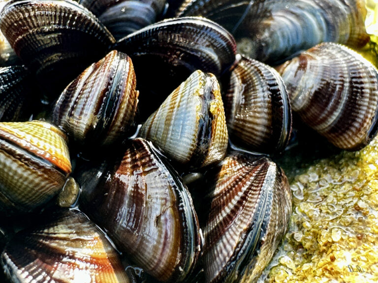 4x3-23-4